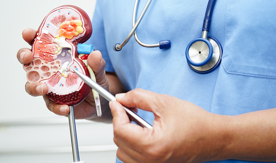 visita nefrologica medico nefrologo sassari